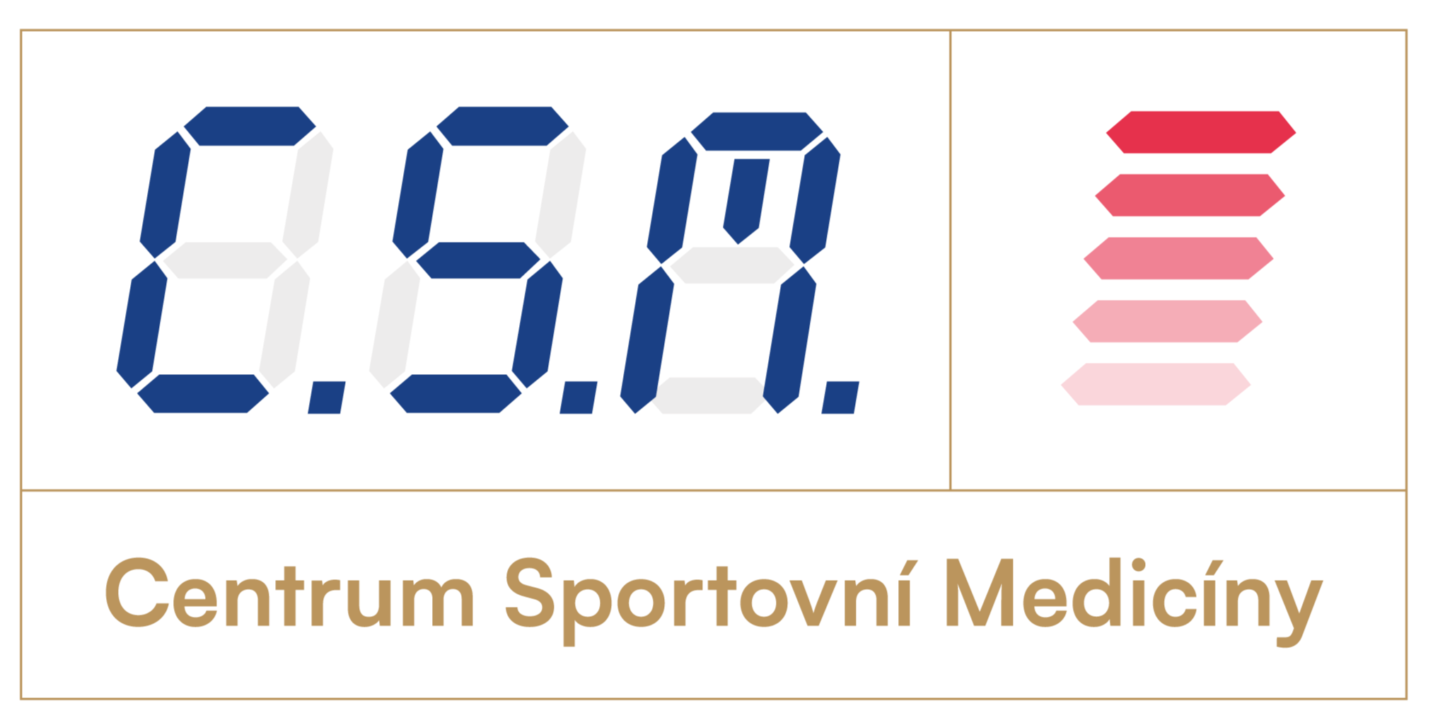 Center for Sports Medicine (CSM)